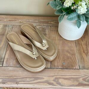 Donald J. Pliner Metallic Seena Platform Wedge Sandals 🆕